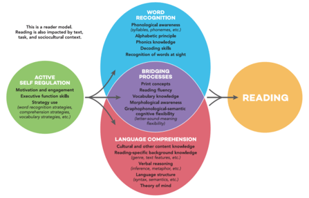 Active-View-of-Reading-Graphic_Duke-and-Cartwright-2021