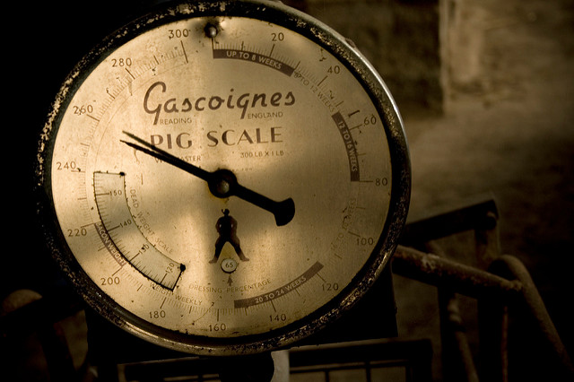 "Gascoignes Pig Scale" by @notnixon, licensed under CC BY-NC-SA 2.0. Other pig images CC0 Public Domain.