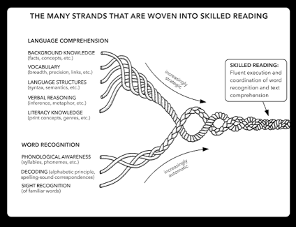image of Scarborough's Reading Rope that outlines language comprehension on the top and word recognition on the bottom.